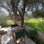 Near The Sea