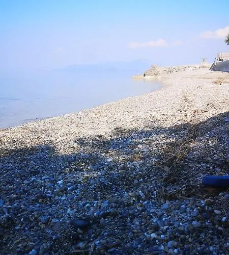 Near The Sea 멜리션